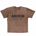 AHOEVI Logo Vintage acid washed t-shirt
